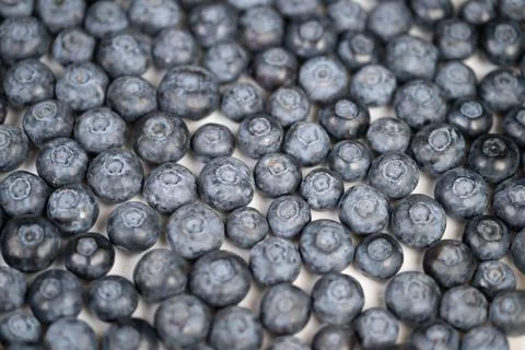 Smooth blueberry background perfect for packaging and branding design. Uniform b 写真素材