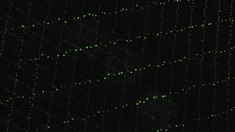 Smooth blur particles movement of a geometric grid Stock Footage 276507321