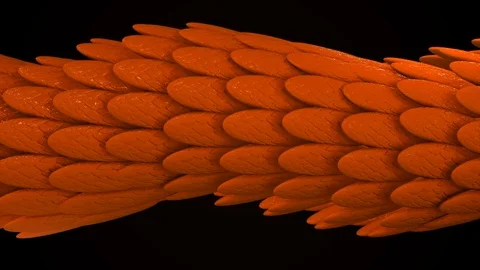 Smooth bright wavy pattern, iridescent glossy scales. Animation. Abstract Stock Footage 119850479
