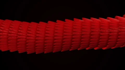 Smooth bright wavy pattern, iridescent glossy scales. Animation. Abstract Stock Footage 119850516