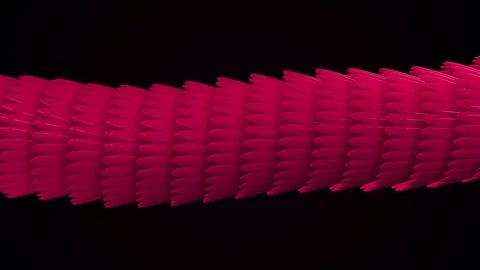 Smooth bright wavy pattern, iridescent glossy scales. Animation. Abstract Stock Footage 119850535