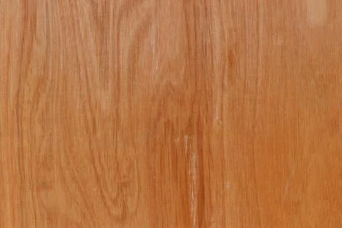 Smooth brown broad. Foto stock