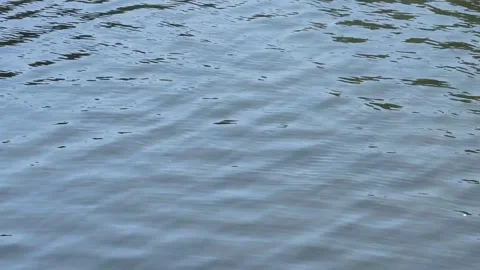 Smooth calm ripples waves clear fresh water river abstract texture 库存影片 246871576