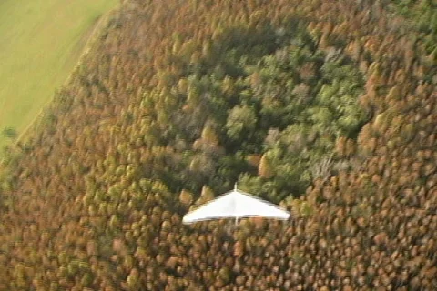 Smooth Cam Zoom of Colored Trees and a White Hang Glider Stock Footage 145106