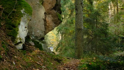 Smooth camera move along forest trail beside mountain river in autumn Stock-Footage 337427076