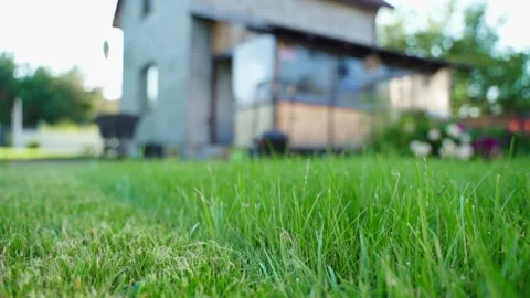 Smooth camera movement along lawn grass before mowing with country house Stock Footage 341406405