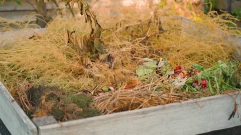 Smooth camera movement around a compost pile in a suburban area Video stock 317296753