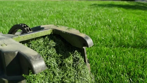 Smooth camera movement around a lawn mower bag filled with grass clippings Stock Footage 311001254