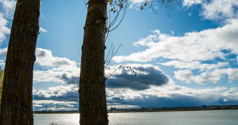 Smooth camera movement between two trees. Autumn sun, timelapse, hyperlapse Stock Footage 118904938