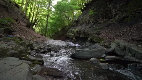 Smooth Camera Movement Following a Flowing Forest River 動画素材 311731470