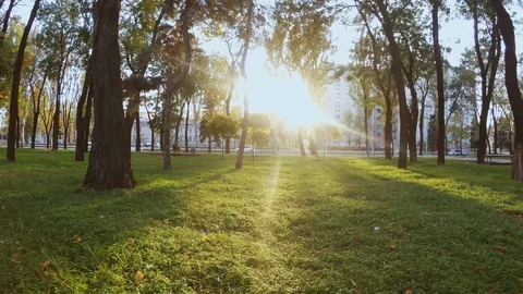 Smooth camera movement forward at sunset in a cityscape Stock Footage 97990438