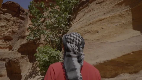 Smooth camera movement of a man walking in the middle of rock in petra Video stock 102779710
