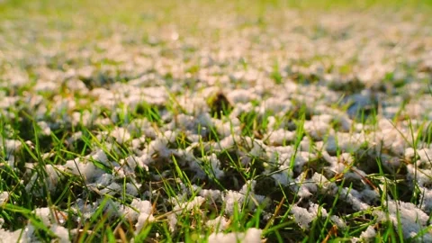 Smooth camera movement over grass in snow, close-up Stock Footage 313464881