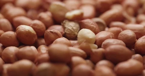Smooth Camera Movement Over a Handful Peanuts. Stockbeeldmateriaal 142592132