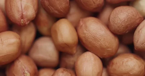 Smooth Camera Movement Over a Handful Peanuts. Stock Footage 142592403