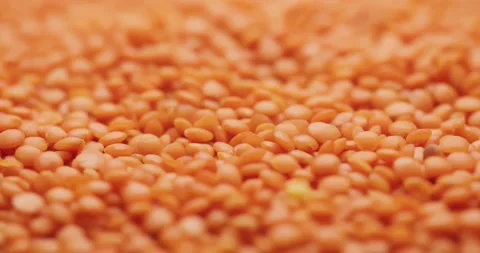 Smooth Camera Movement Over a Handful Red Lentils. Stock Footage 142695670