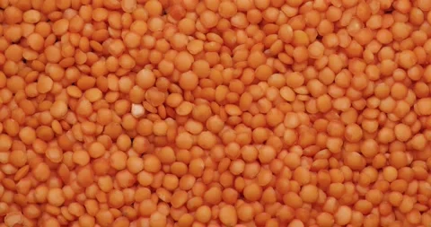 Smooth Camera Movement Over a Handful Red Lentils. Stock Footage 142695754