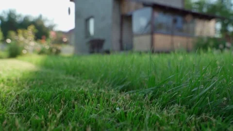 Smooth camera movement past tall lawn grass before mowing close-up. Countryside Stock Footage 342735834