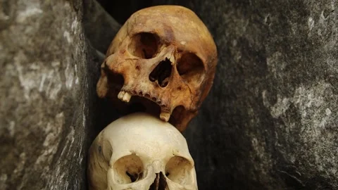 Smooth camera movement selective focus two human skulls lie in the stones Stock Footage 251519001