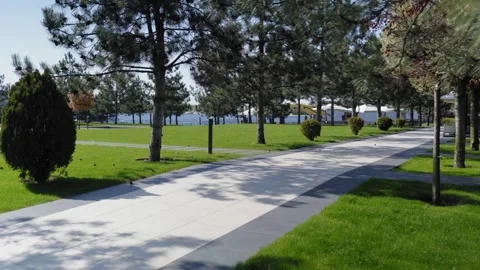 Smooth Camera Movement Through Modern Green Park with Trees 스톡 동영상 326891540