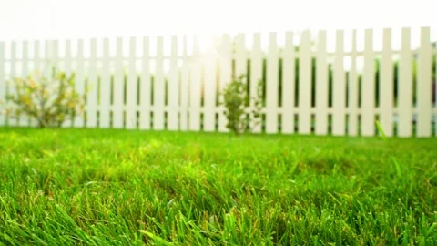 Smooth camera movement through summer sunny garden with green juicy mowed lawn Stock Footage 221239077