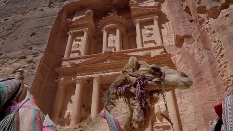 Smooth camera panning through camel head to the sky Stock Footage 102452731