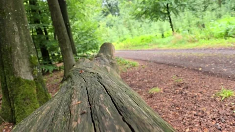 Smooth camera tracking shot moving forward from a cut cross-section of an o.. Stock Footage 343951246