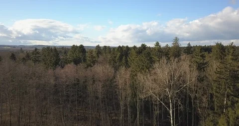 Smooth Cinematic Drone Shot Over Austrian Wood Stock Footage 85529532