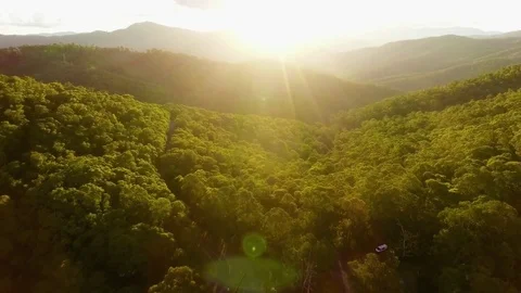 Smooth cinematic flight over Australian forest towards the sun at sunset Stock Footage 84232440