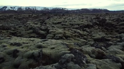 Smooth cinematic walk through mossy rocks, Icelandic lava fields Video stock 145502750