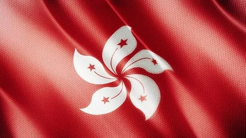 Smooth Close-up Flag Of Hongkong 스톡 동영상 73316843