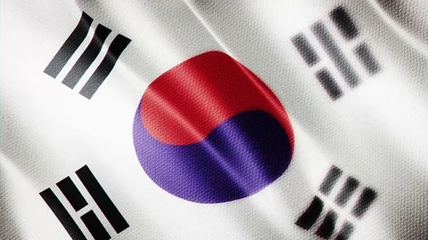 Smooth Close-up Flag Of Korea 스톡 동영상 73316845