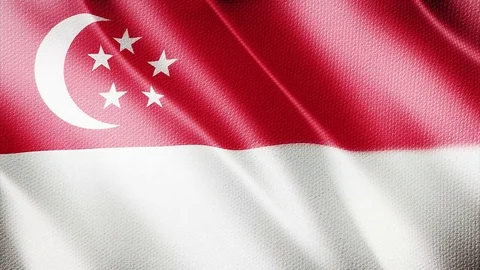 Smooth Close-up Flag Of Singapore 스톡 동영상 73316814