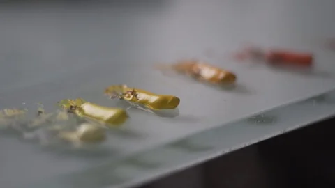 Smooth Close Up Paint Blobs Pan By Artist Work Area Stock Footage 87876827