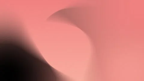 Smooth coral and black gradient with soft curves. Seamless loop background. 4K Stock Footage 310143542