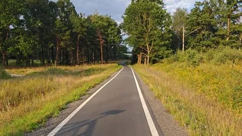 Smooth cycling path winding through a meadow beside woodland Stock Footage 346412082
