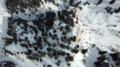 A smooth descent on the drone over the snow top and firs. Stock Footage 90775358