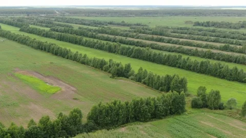 Smooth diagonal drone flight above rural fields Video stock 325142644