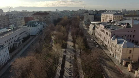 Smooth drone approach along tree-lined boulevard Vidéo 322131965