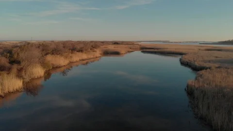 Smooth drone flight over marsh Stock Footage 87526213