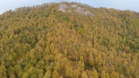 Smooth drone flight up over the mountains covered by autumn forest Stock Footage 119909752