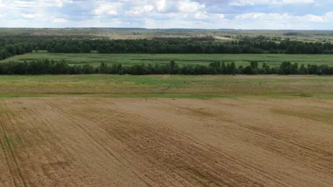 Smooth drone flight over open fields and forests Stock-Footage 325154712