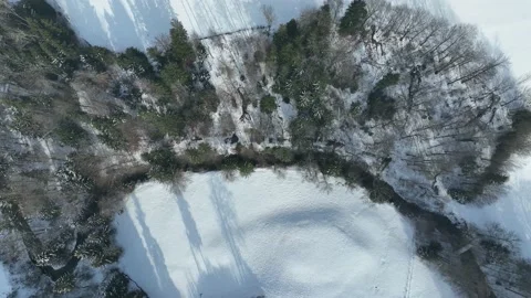 Smooth drone flight over snow covered fir trees in winter. Stock Footage 231346009