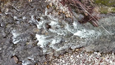 Smooth drone flight over wild river in Switzerland. Stock Footage 230727844