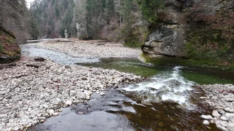 Smooth drone flight over wild river in Switzerland. Stock Footage 230728554