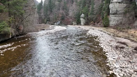 Smooth drone flight over wild river in Switzerland. Stock Footage 230728933