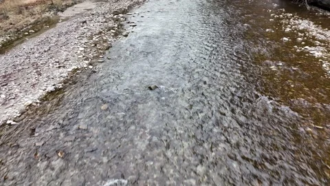 Smooth drone flight over wild river in Switzerland. Stock Footage 230729154