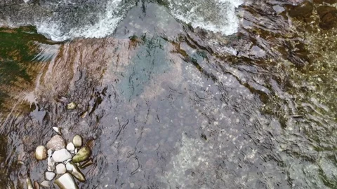 Smooth drone flight over wild river in Switzerland. Aerial view. Stock Footage 230731011