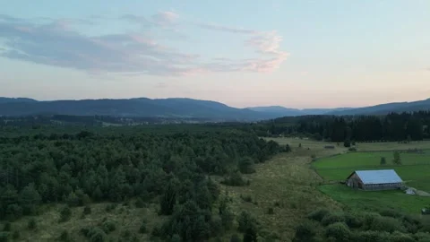 Smooth drone flyover of Tinovul Mic nature reserve, a rare peat bog habitat. Stock Footage 327015545