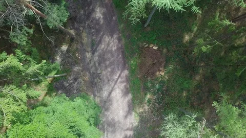 Smooth drone footage of path through forest in spring. Stock Footage 107082762